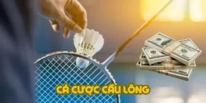 Cách Chơi Cá Cược Cầu Lông Tại VIN777 Cho Anh Em