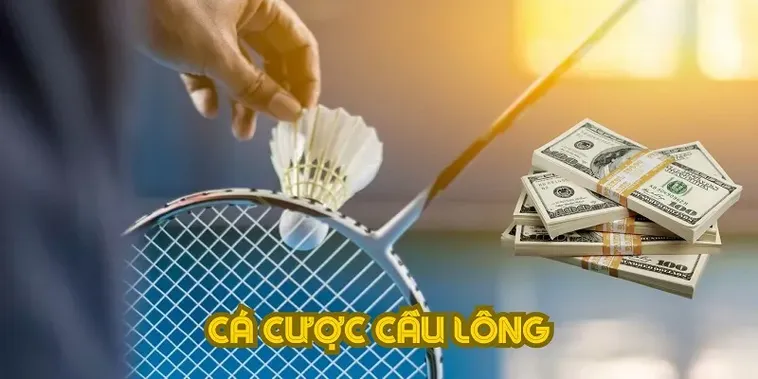Cách Chơi Cá Cược Cầu Lông Tại VIN777 Cho Anh Em