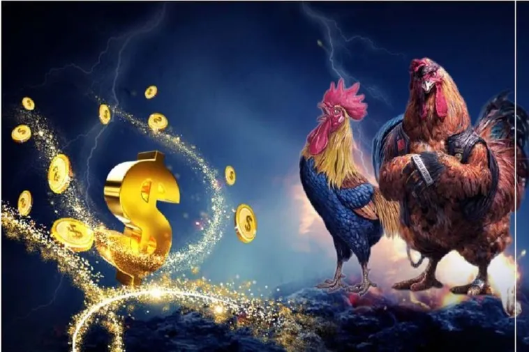 Đá Gà GA28 Tại VIN777: Trải Nghiệm Đỉnh Cao Giải Trí 2 Đá Gà GA28 Tại VIN777: Trải Nghiệm Đỉnh Cao Giải Trí