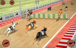 Cách Chơi Game Nhanh Đua Chó Tại VIN777 Cho Cược Thủ