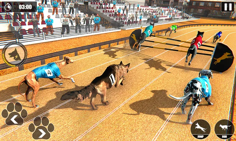 Cách Chơi Game Nhanh Đua Chó Tại VIN777 Cho Cược Thủ 2 Cách Chơi Game Nhanh Đua Chó Tại VIN777 Cho Cược Thủ
